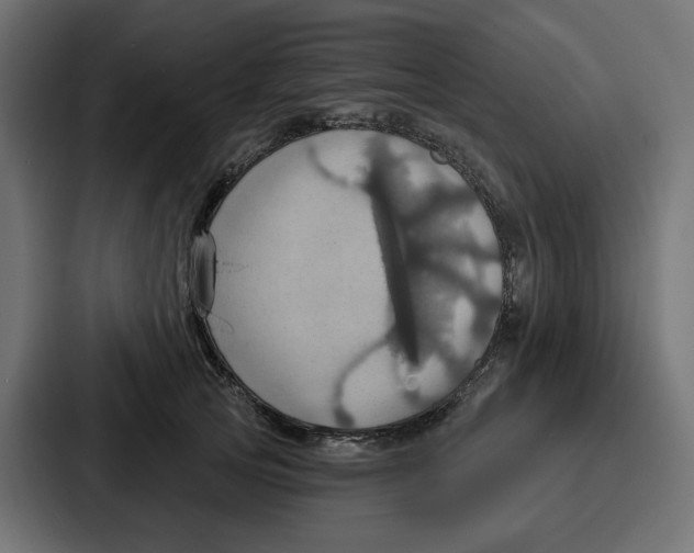 X0000086750753200705111655