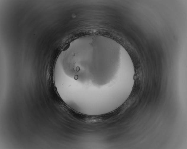 X0000086750754200705111655