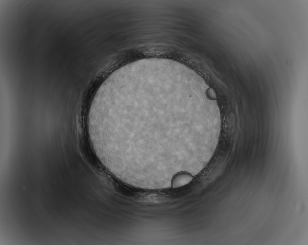 X0000086750755200705111655