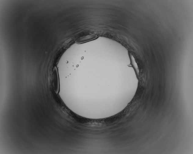 X0000086750756200705111655