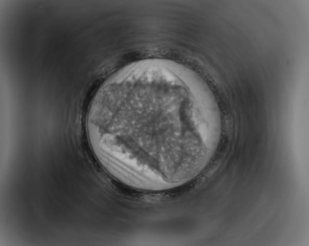 X0000086750757200705111655