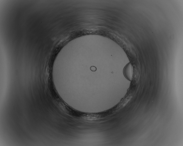 X0000086750758200705111655
