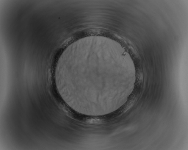 X0000086750759200705111655