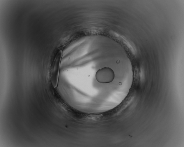 X0000086750760200705111655