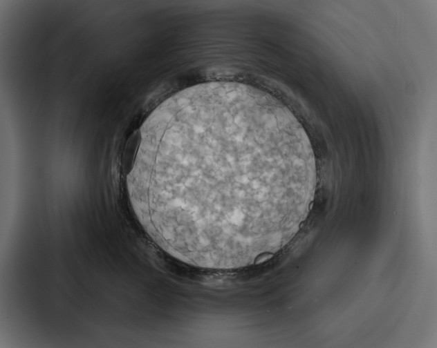 X0000086750761200705111655