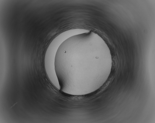 X0000086750762200705111655