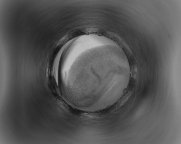X0000086750763200705111655