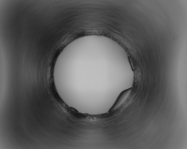 X0000086750764200705111655