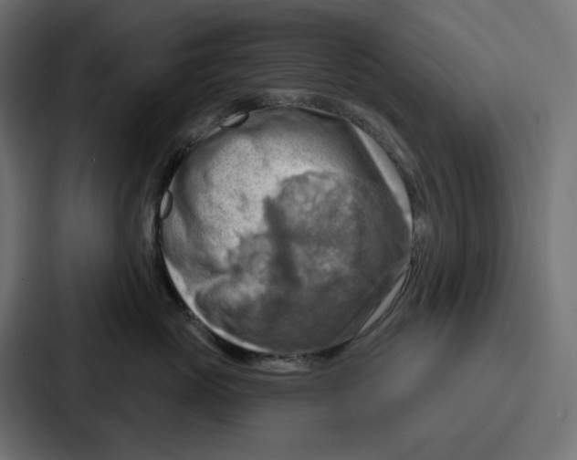 X0000086750765200705111655