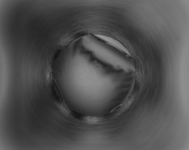 X0000086750766200705111655