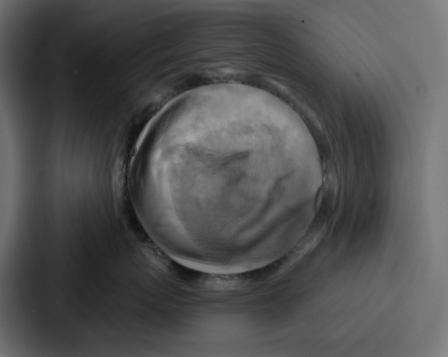 X0000086750767200705111655