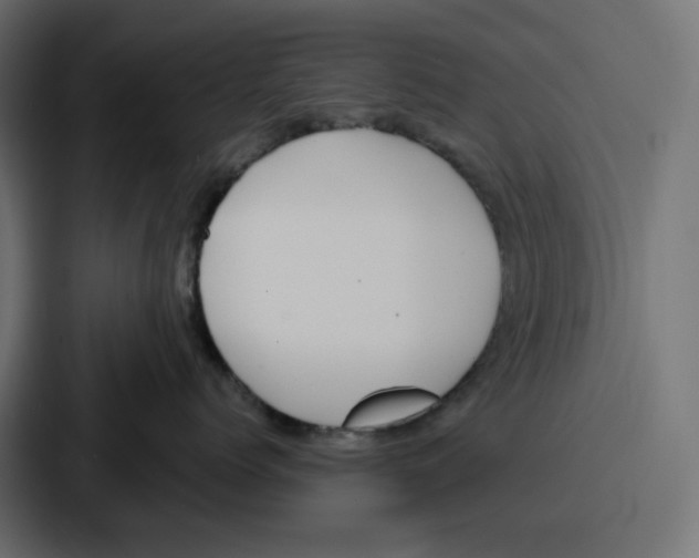 X0000086750768200705111655