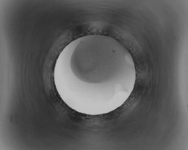 X0000086750769200705111654