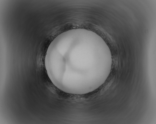 X0000086750770200705111654