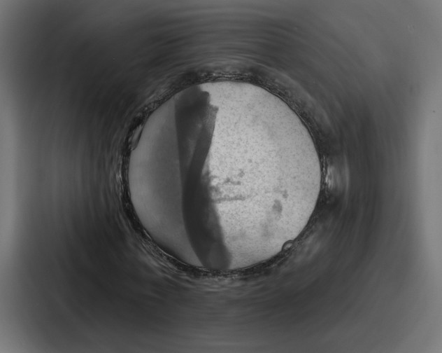 X0000086750771200705111654