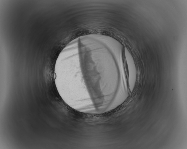 X0000086750772200705111654