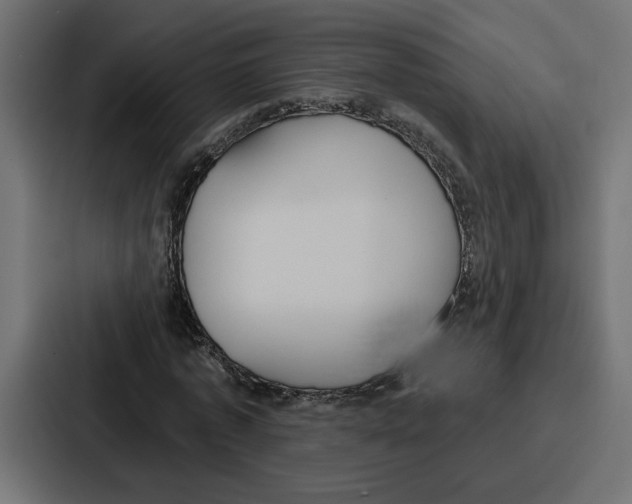 X0000086750773200705111654