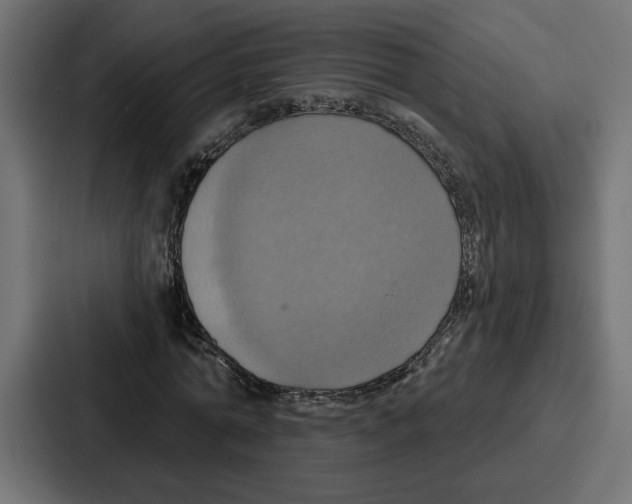 X0000086750774200705111654