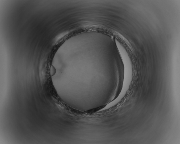 X0000086750775200705111654