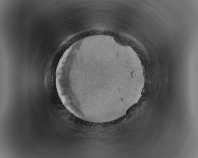 X0000086750776200705111654