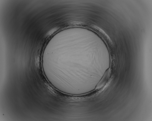 X0000086750777200705111654