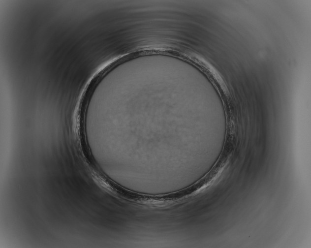 X0000086750779200705111654