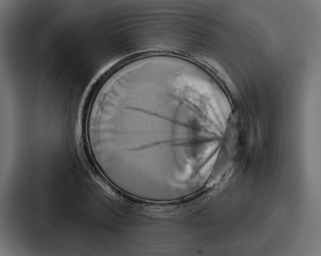 X0000086750780200705111654
