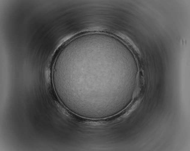 X0000086750781200705111654
