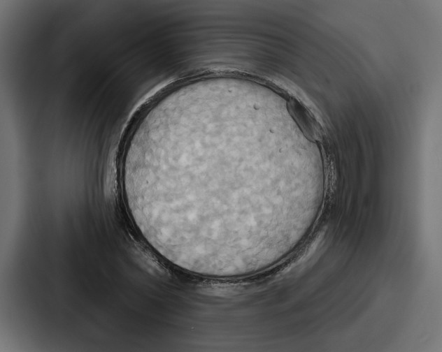 X0000086750782200705111654