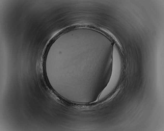 X0000086750783200705111654
