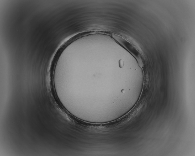 X0000086750784200705111654