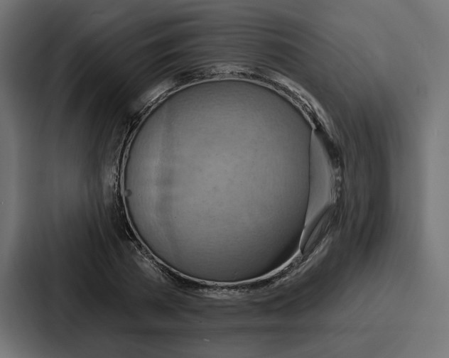 X0000086750785200705111654