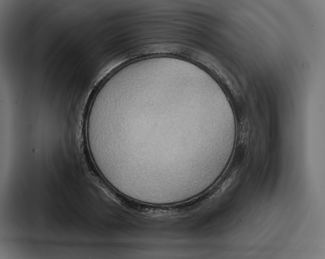 X0000086750786200705111654