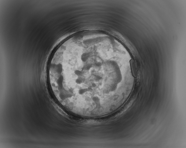 X0000086750787200705111654