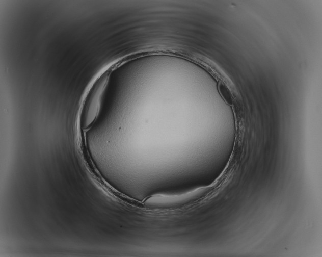X0000086750788200705111654
