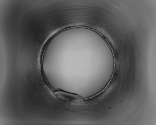 X0000086750789200705111654