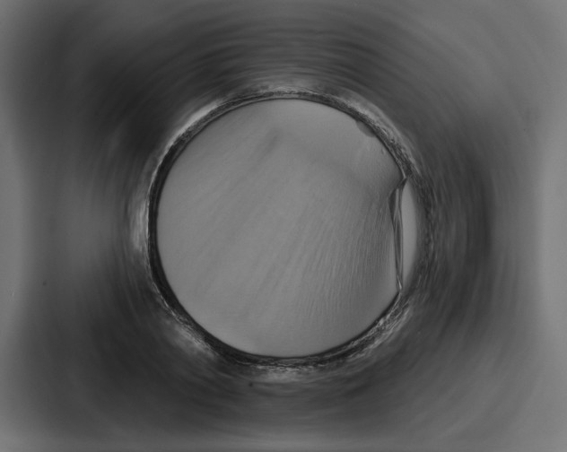 X0000086750790200705111654