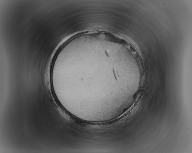 X0000086750792200705111654
