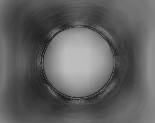 X0000086750793200705111654