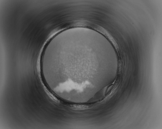 X0000086750795200705111654