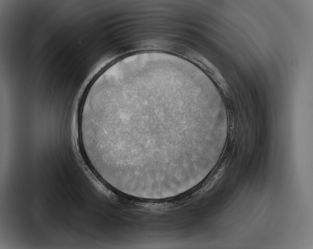 X0000086750796200705111654