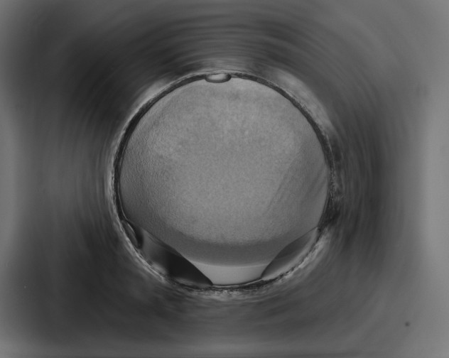 X0000086750797200705111654