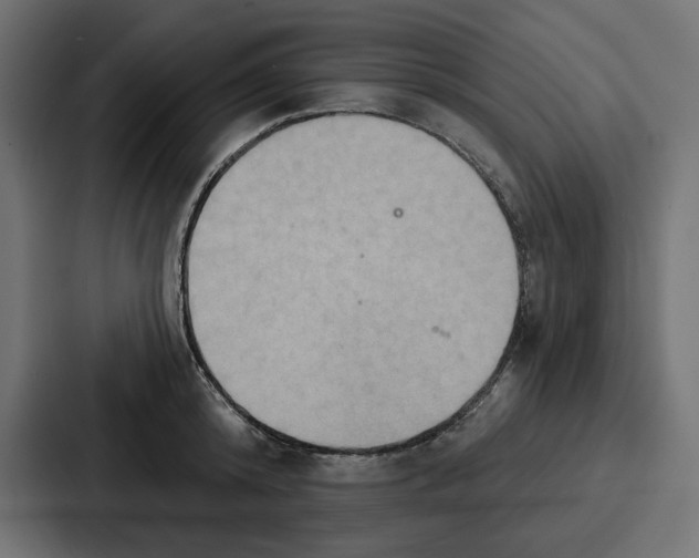 X0000086750800200705111654