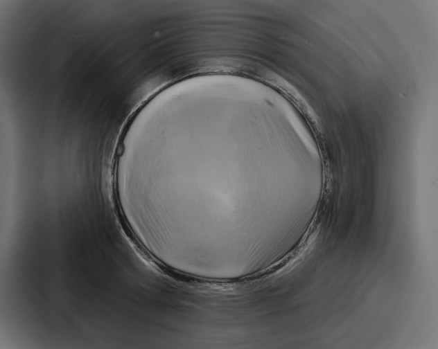 X0000086750802200705111653