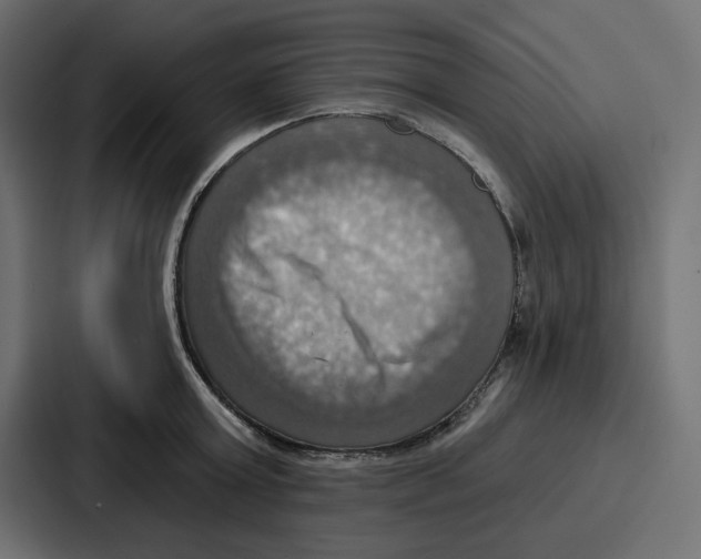 X0000086750803200705111653