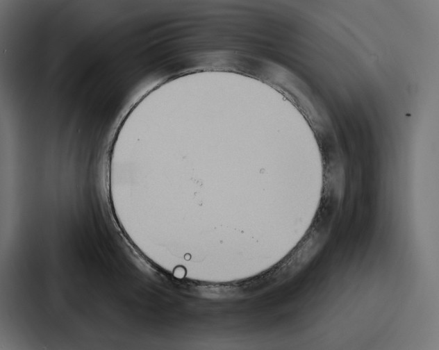X0000086750804200705111653