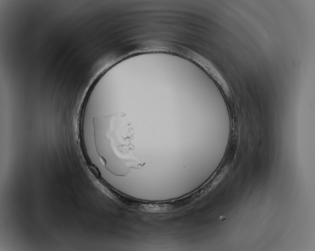 X0000086750805200705111653