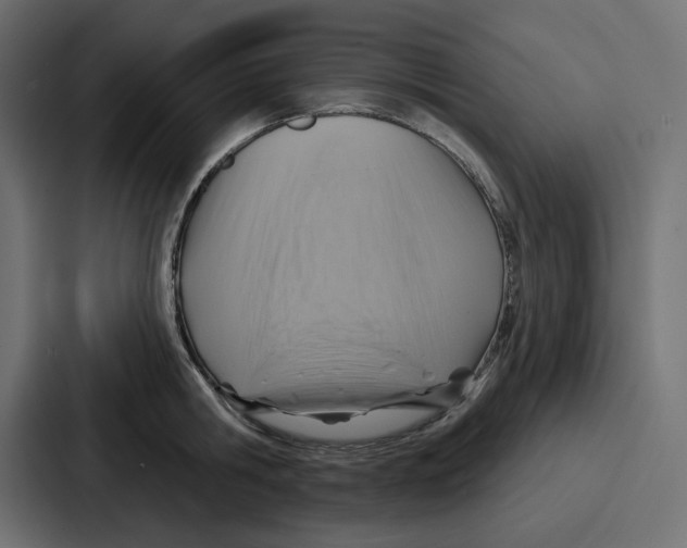 X0000086750806200705111653