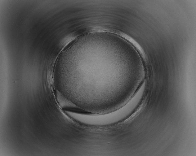 X0000086750809200705111653