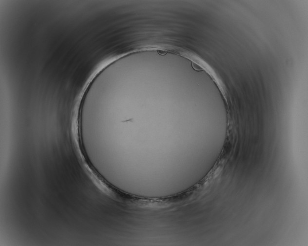 X0000086750811200705111653